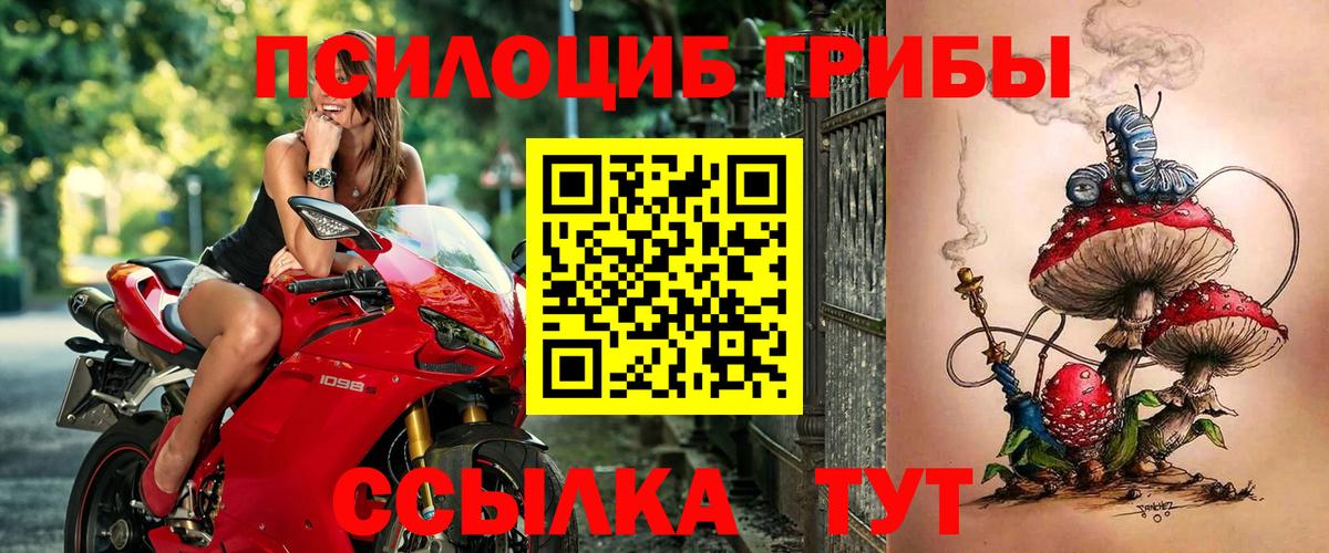 Галлюциногенные грибы прущие грибы Наро-Фоминск